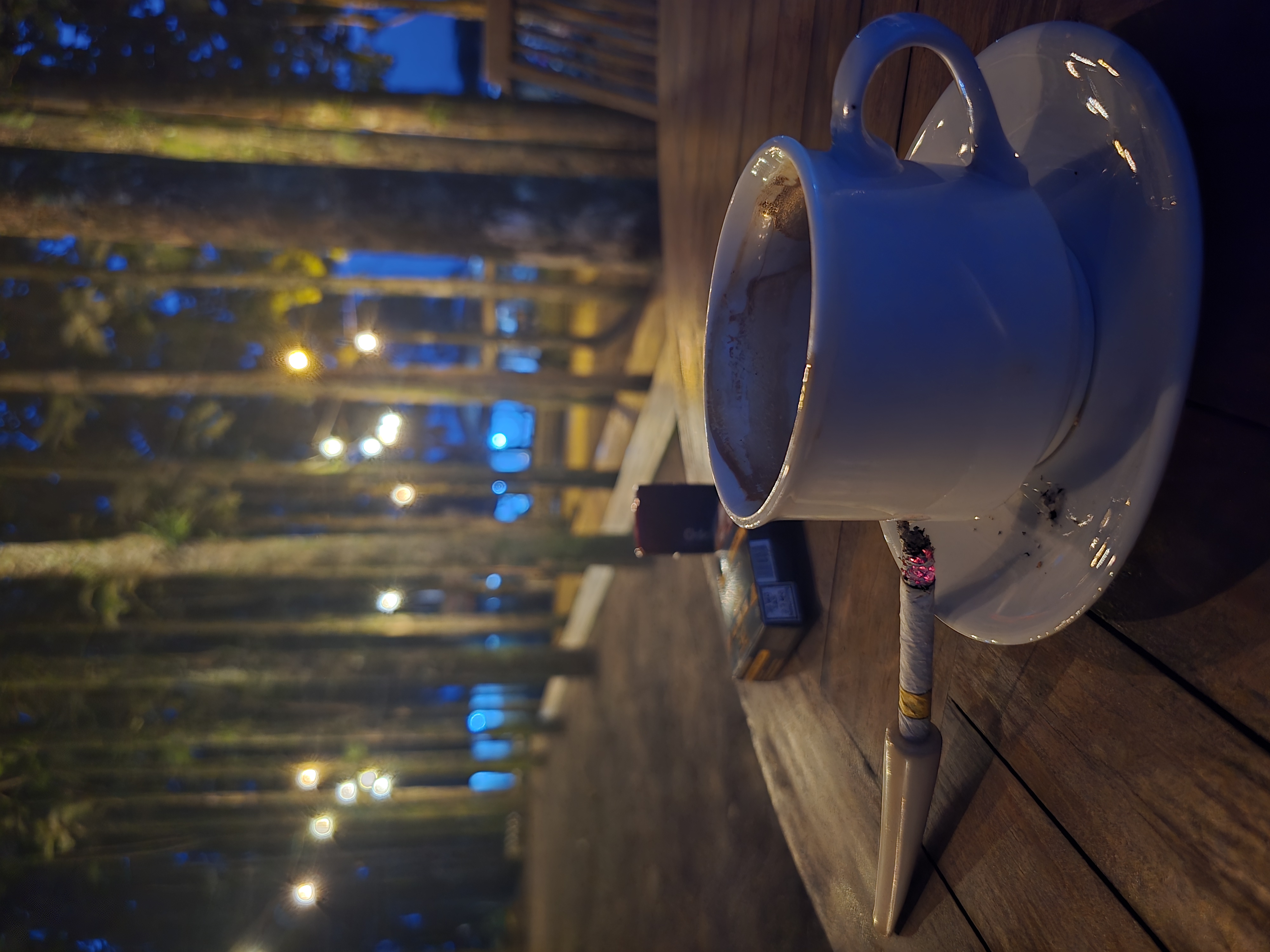 🌿 Doa Asap, Kopi, dan Pohon-Pohon Cahaya di Puncak Pangrango